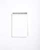 Field Notes 80-Page Steno Book