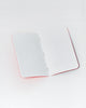 Field Notes Pack of 3 - Expedition Edition